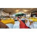 15m Marquee Tent with Underlayer